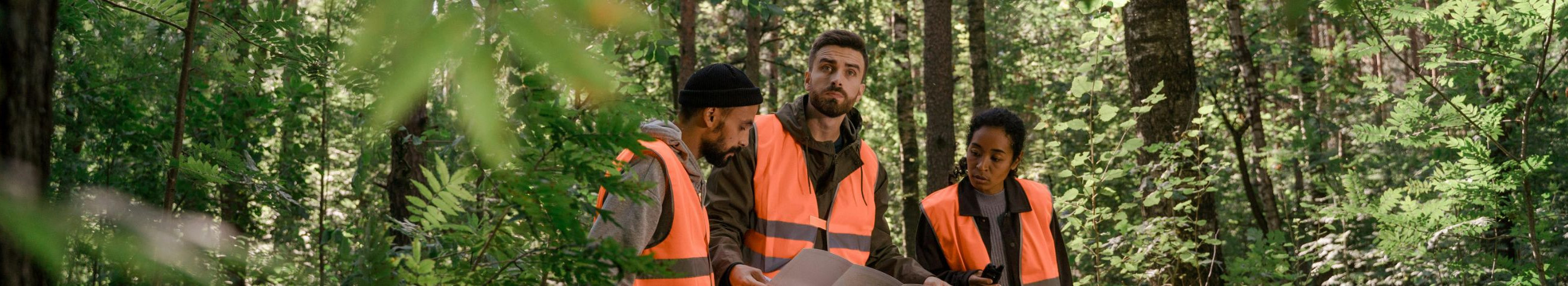 Pakume metsahooldust istutamisest lõppraieni Eestis ja Soomes. Kogenud meeskonnad ja kvaliteedikontroll tagavad usaldusväärse töö.