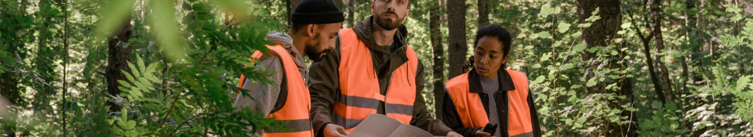 kogenud meeskond, Maastiku ja infrastruktuuri hooldus, Puude langetamine elektriliinide all, Harvenadusraie, Uue metsa istutamine, noore metsa korrashoid ja hooldamine, usaldusväärsus, kvaliteedikontroll, professionaalsed tööriistad, metsahaldus