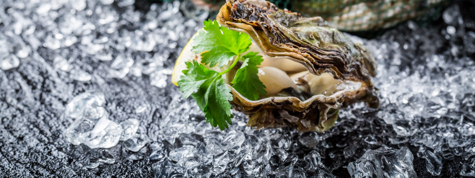 AUSTERIUM OÜ - We provide an exceptional oyster bar catering service, bringing a taste of the ocean to your events.
