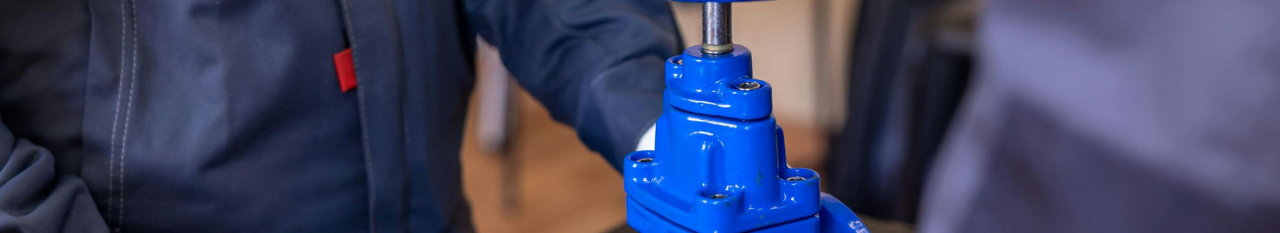 We offer technical advice, authorized pump solutions and fast maintenance to reduce stoppages and ensure the hygiene and reliability of processes.