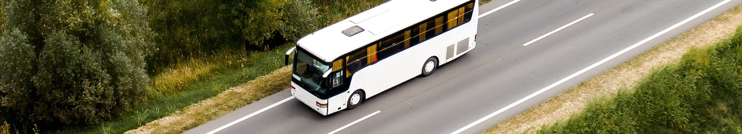 Tegeleme reisiteenuste pakkumisega, sealhulgas bussireisid, bussi rent, grupireisid ja kohandatavad reisipaketid.