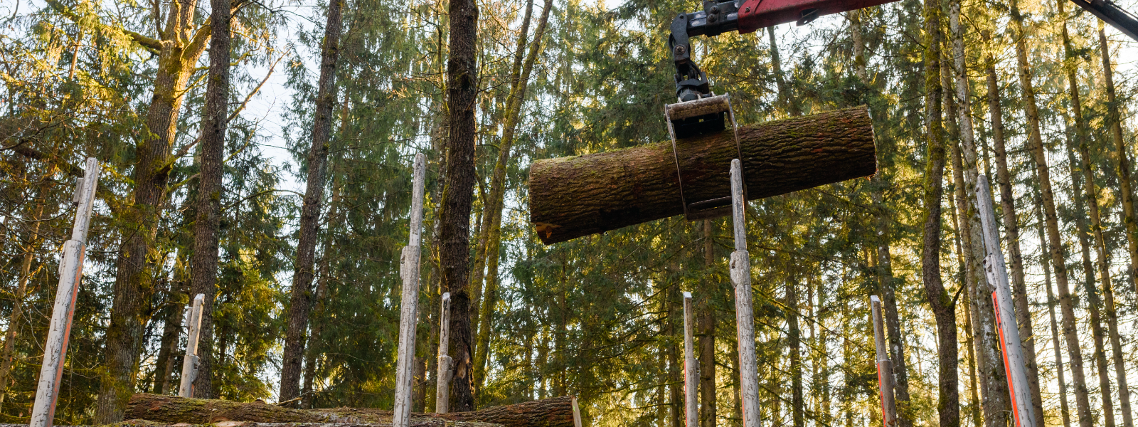 JÄRVA TEHNOPARK OÜ - forestry, manufacture of wood chips, forestry management, forestry industry, processing of biomass,...