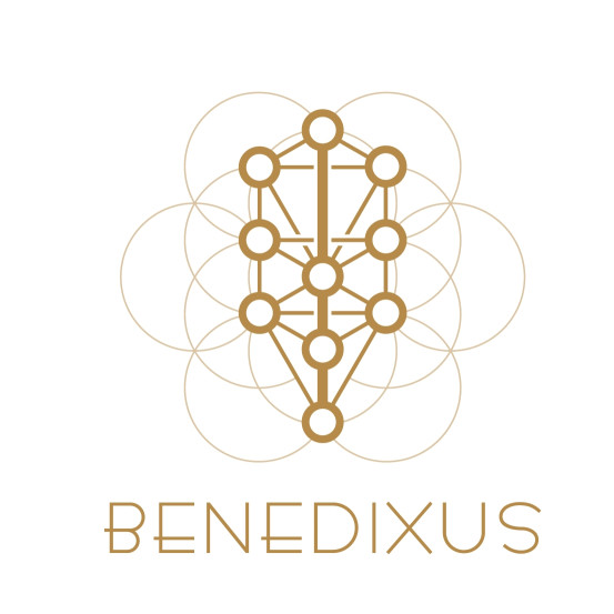 Benedixus OÜ logo