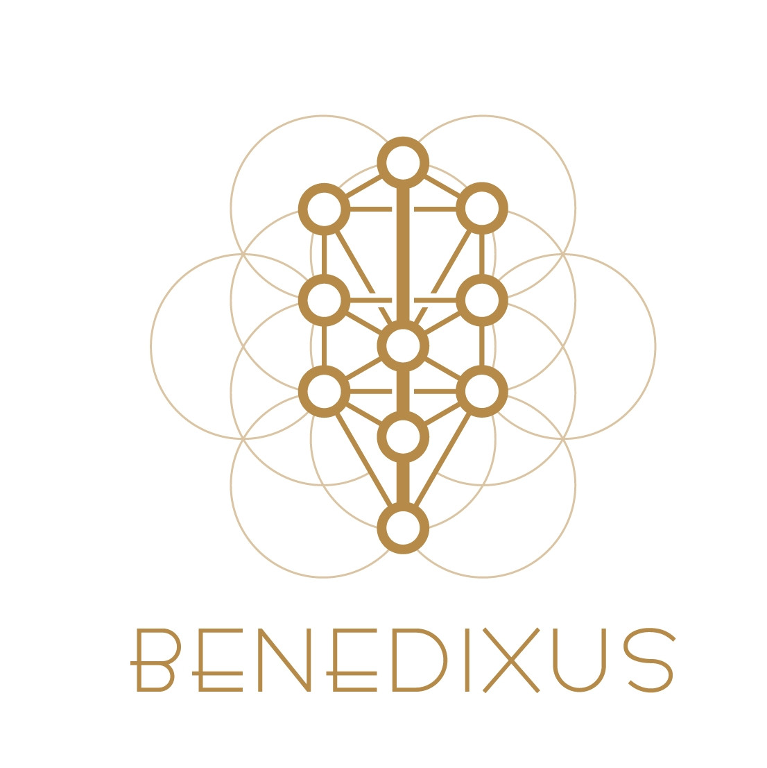 Benedixus OÜ logo