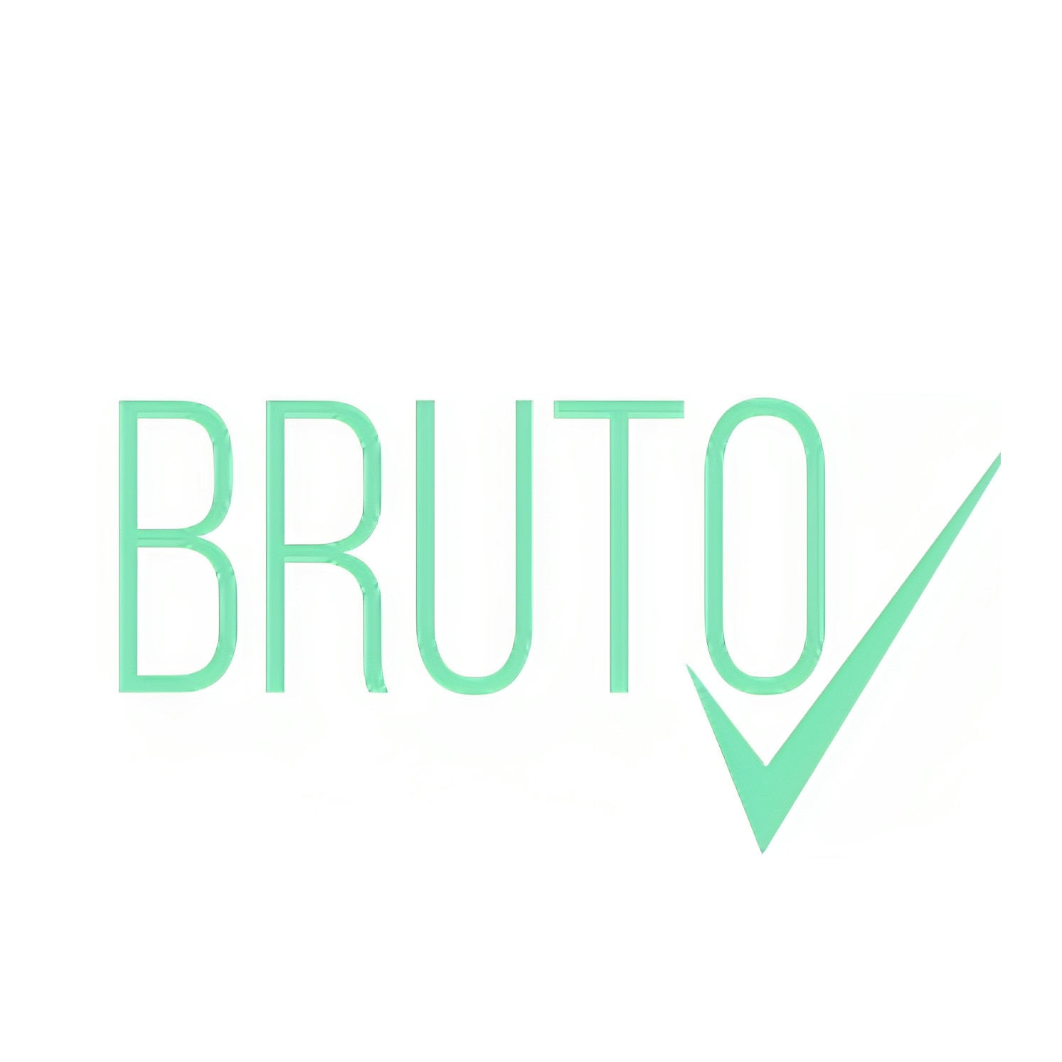 BRUTO RAAMATUPIDAMINE OÜ logo