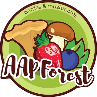 AAP FOREST OÜ logo