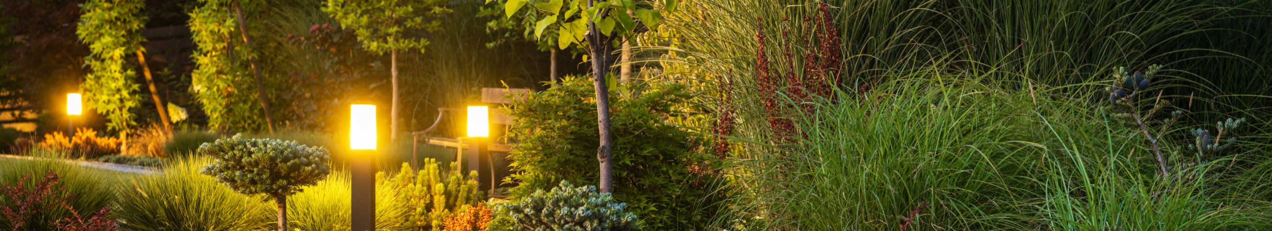 We offer ready-to-use product kits for garden creation, complete with realistic visualizations, detailed planting schemes, and step-by-step instructions.