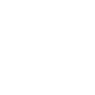 ESPERTA OÜ logo