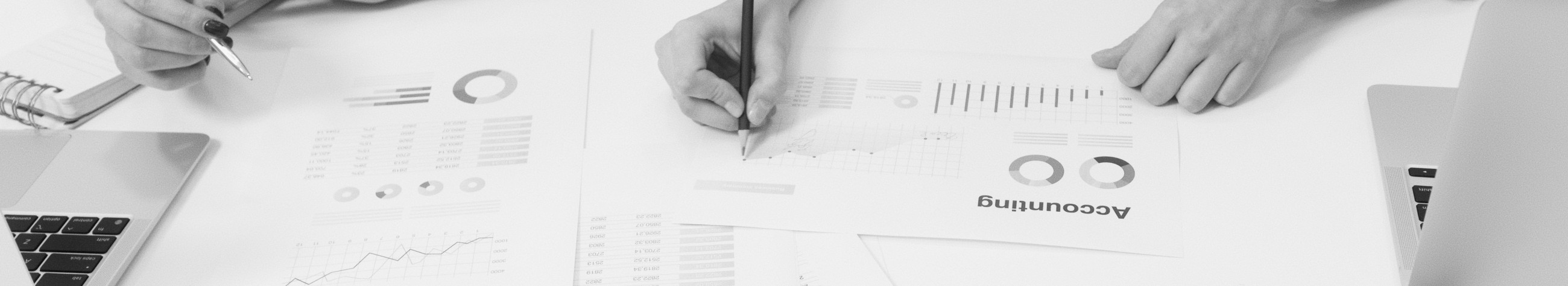 We help keep accounting, taxes, wages and reporting procedures. You will get a clear overview and you can focus on the development of the company.