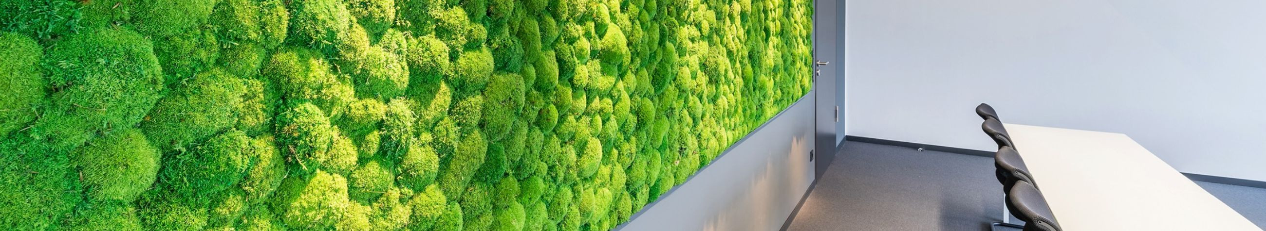 Spetsialiseerume keskkonnasõbralike roheliste seinte loomisele, pakkudes ka taimede rentimise ja dekoratiivlahenduste mitmekesist valikut.