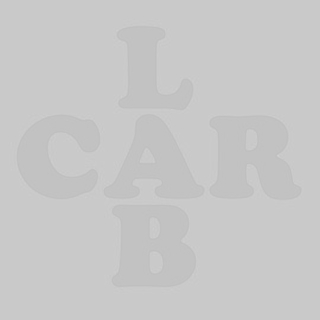 CARLAB OÜ logo