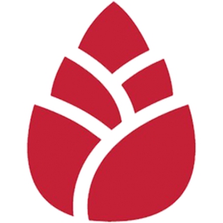 AIEX OÜ logo