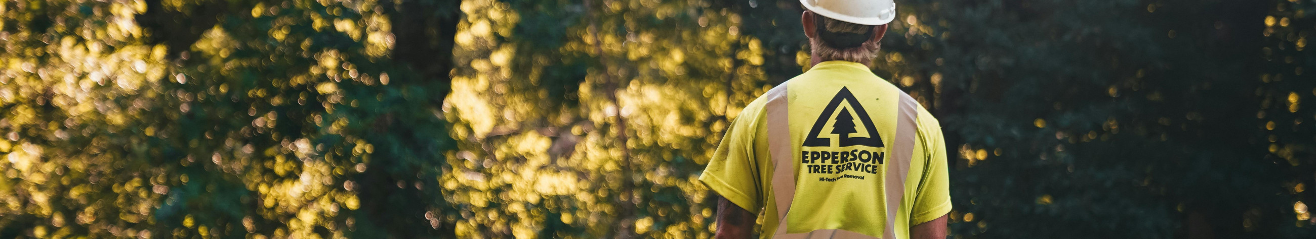 We maintain, renew and support forests in a way that works smoothly and the result remains valuable. We offer forest services from maintenance to logging aid.