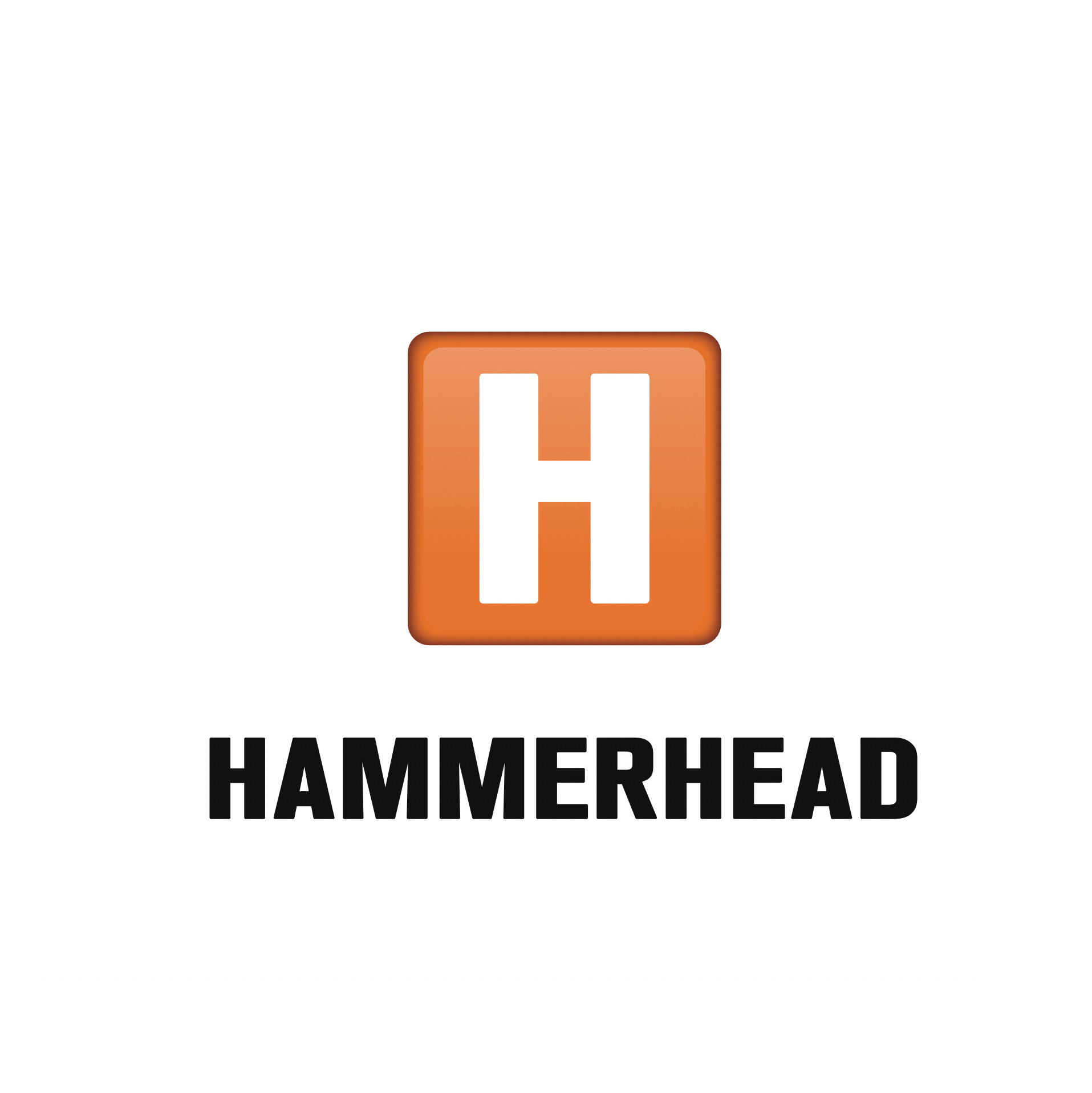 HAMMERHEAD OÜ logo
