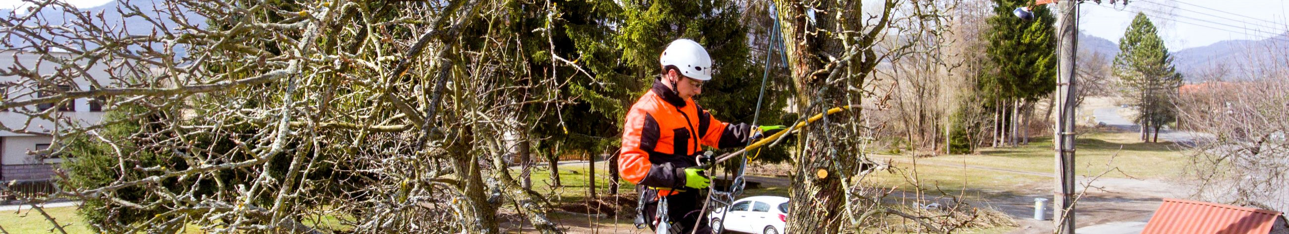 hazardous tree felling, tree care pruning, Shrubbing, stump grinding, utilisation of waste from cutting, cleaning roofs from snow and ice, planting and care of trees and shrubs, tree and shrub care, Chopping of branches, dendrological assessments