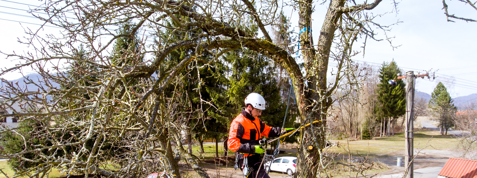 STONEWEY OÜ - hazardous tree felling, tree care pruning, Shrubbing, stump grinding, utilisation of waste from cutting, cl...