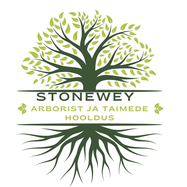 STONEWEY OÜ - Construction of roads and motorways in Alutaguse vald