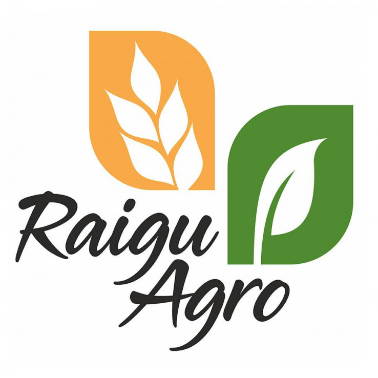 RAIGU AGRO OÜ - Growing of cereals (except rice), leguminous crops and oil seeds in Väike-Maarja vald