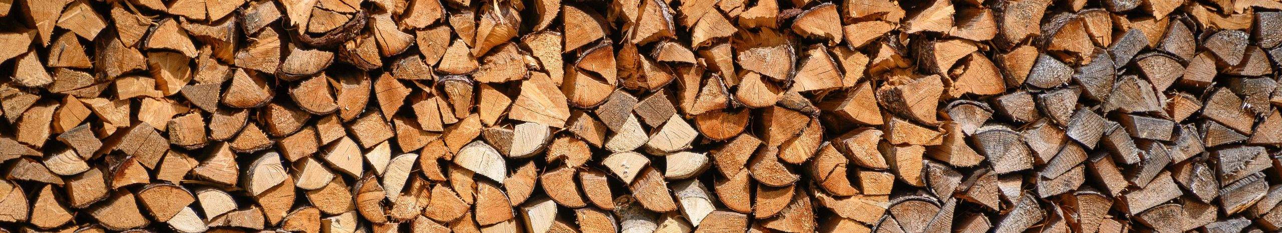 mixed trees, raw firewood, heating trees in nets, grey alder, sanglepp, wound, dry trees, breaking of trees, firewood for heating, hob trees