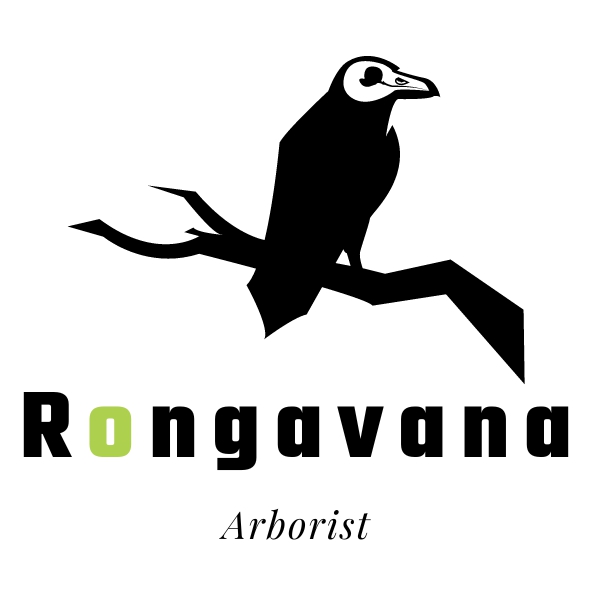 RONGAVANA OÜ logo