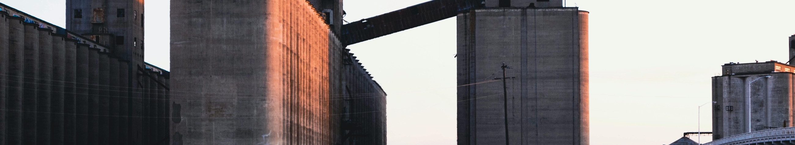 We ensure high-quality seeds, fertilizers and plant protection, together with smooth storage and market access. We offer technical advice and certified organic handling.