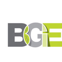 BGE GROUP OÜ - Kvaliteetne elektritöö - alati kiirelt ja usaldusväärselt!