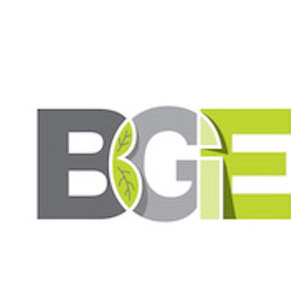 BGE GROUP OÜ logo