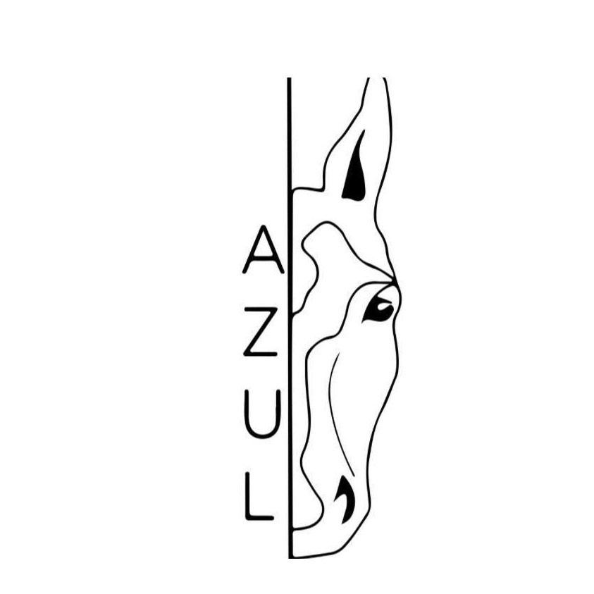 AZUL HORSES OÜ logo