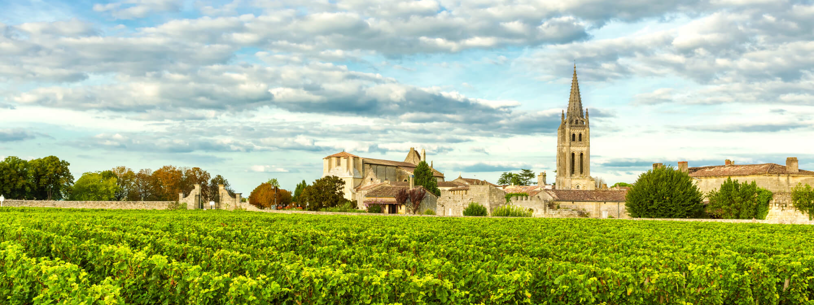 WINEINVEST OÜ - Oleme spetsialiseerunud eksklusiivsete Bordeaux veinide müügile ja investeerimisnõustamisele, viies kl...