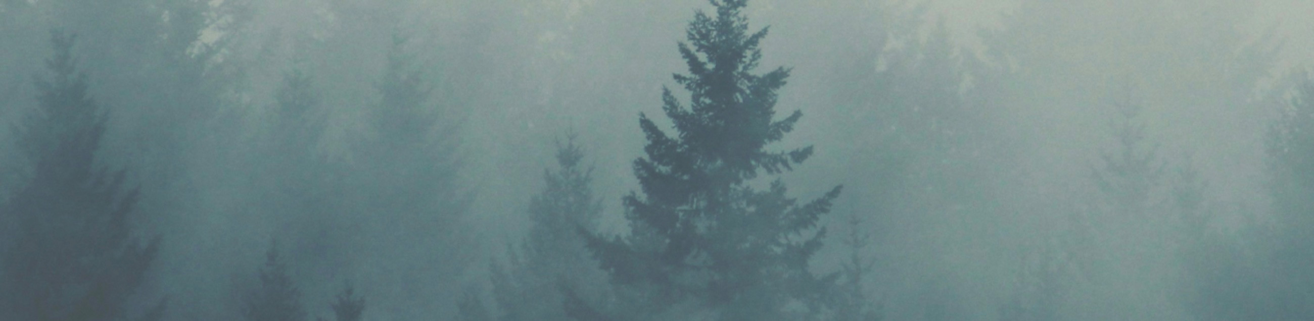 Suurima valikuga tuhaurnide e-pood. Valikus on biolagunevad urnid, puidust urnid, meres lagunevad urnid, käsitööurnid, kangast urnid, lemmiklooma urnid.