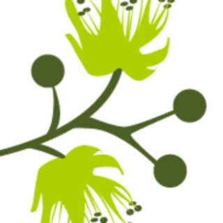 NATURE VILLA OÜ logo