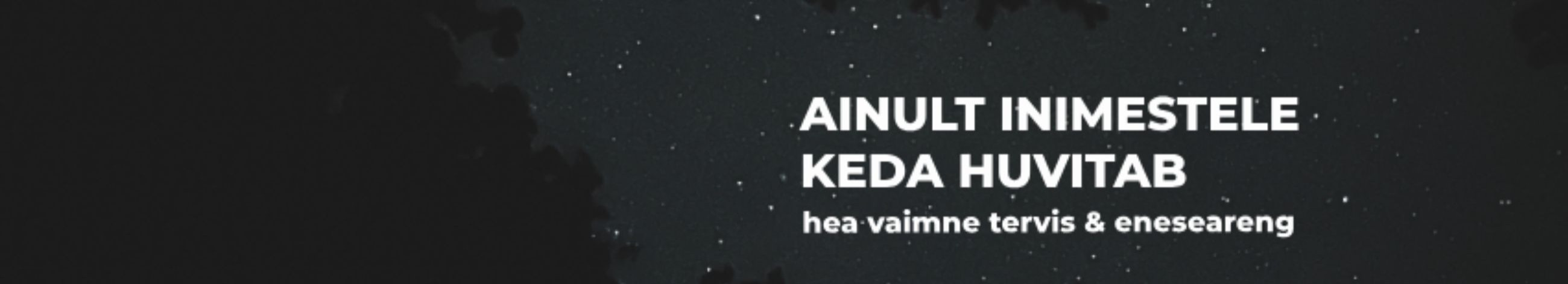 Maksuvõlad puuduvad, kohtulahendid puuduvad, kohtuistungid puuduvad, majandusaasta aruanded esitatud. Peamine vastutav kõneisik, s.kleimann.leimann@gmail.com, +372 55573702