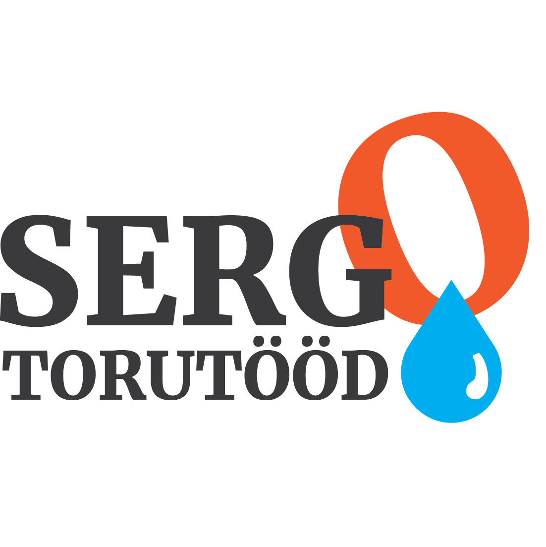 SERGO TORUTÖÖD OÜ logo