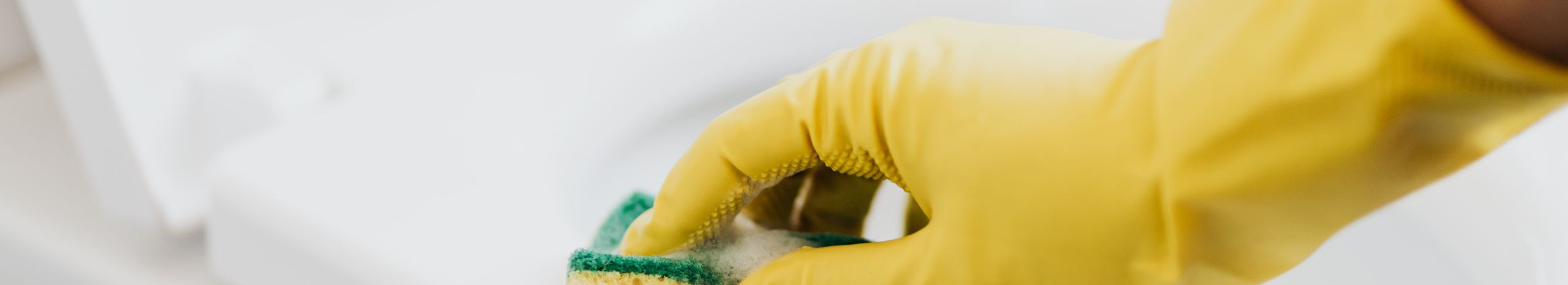 Tegeleme erinevate kvaliteetsete puhastus- ja koristusteenuste pakkumisega, tagades kliendi rahulolu ja eluruumide ohutuse.