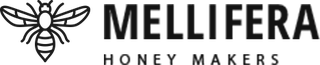 MEEPESA OÜ logo