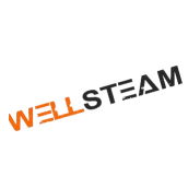 WELLSTEAM OÜ logo