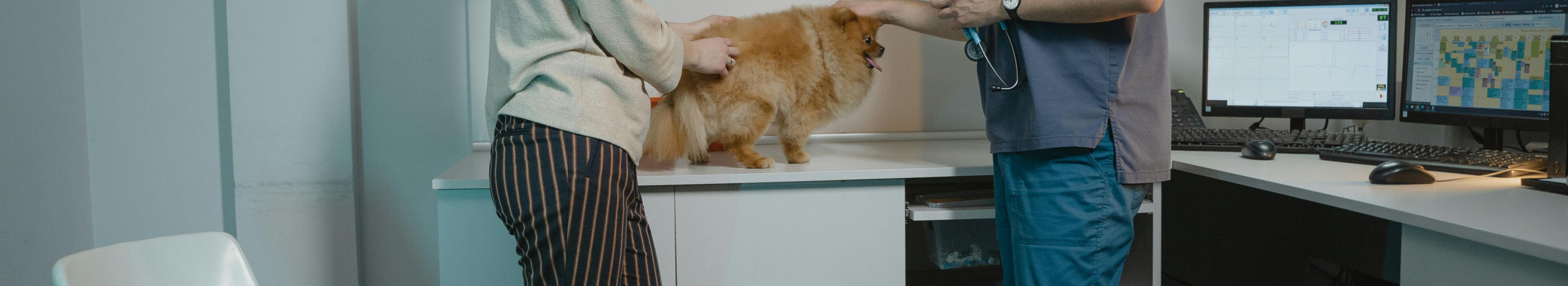 Aitab lemmikloomaomanikel hoida terviseinfo ja hoolduset Meeldetuletused ühes kohas. Lihtne jälgimine ja õigeaegsed hooldusteatised.