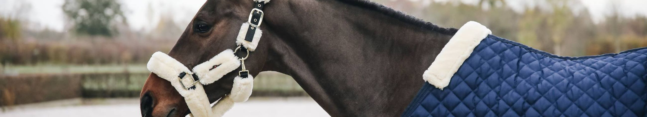 We provide an extensive range of equestrian gear and maintenance supplies for both rider and horse.