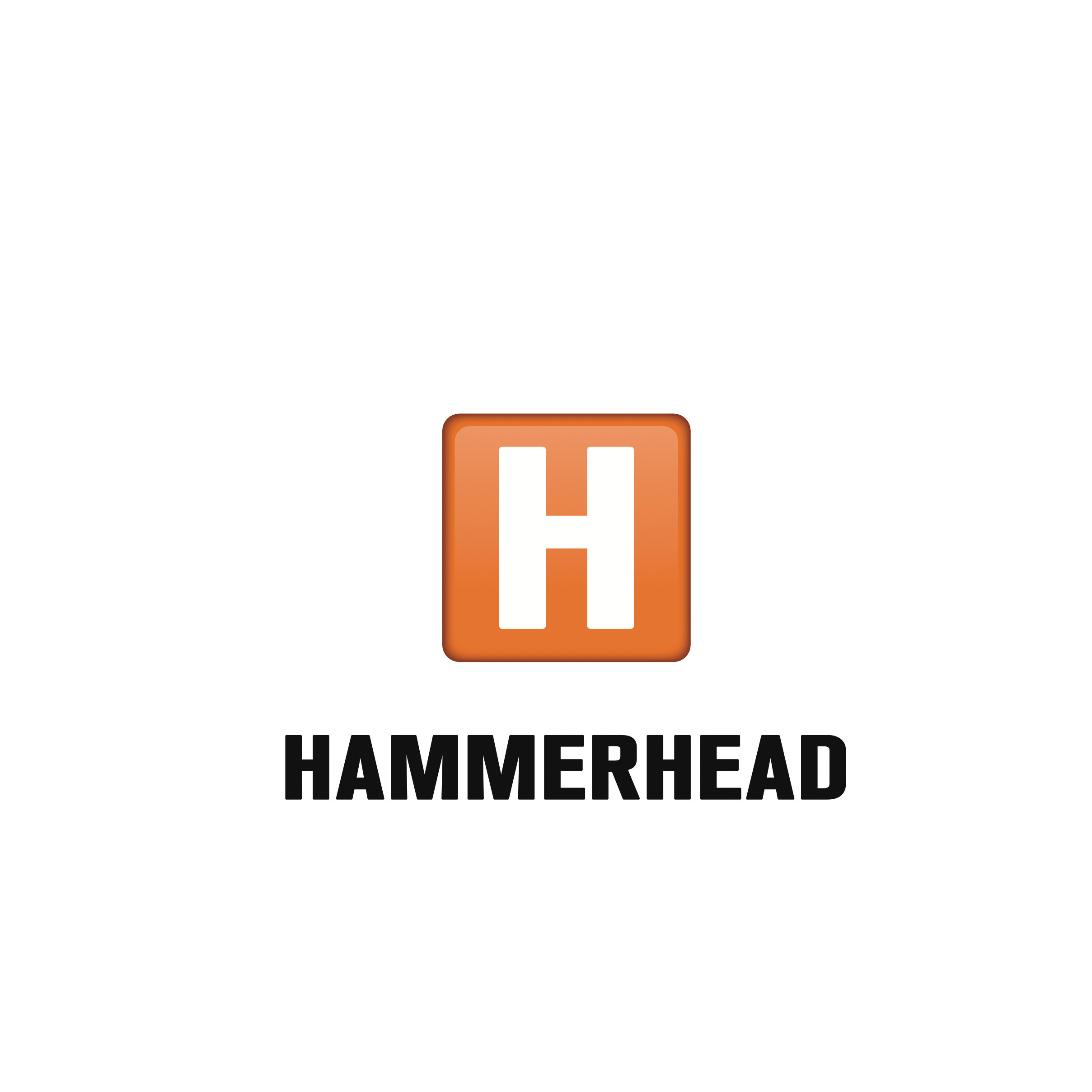 LUCKY HAMMERHEAD OÜ logo