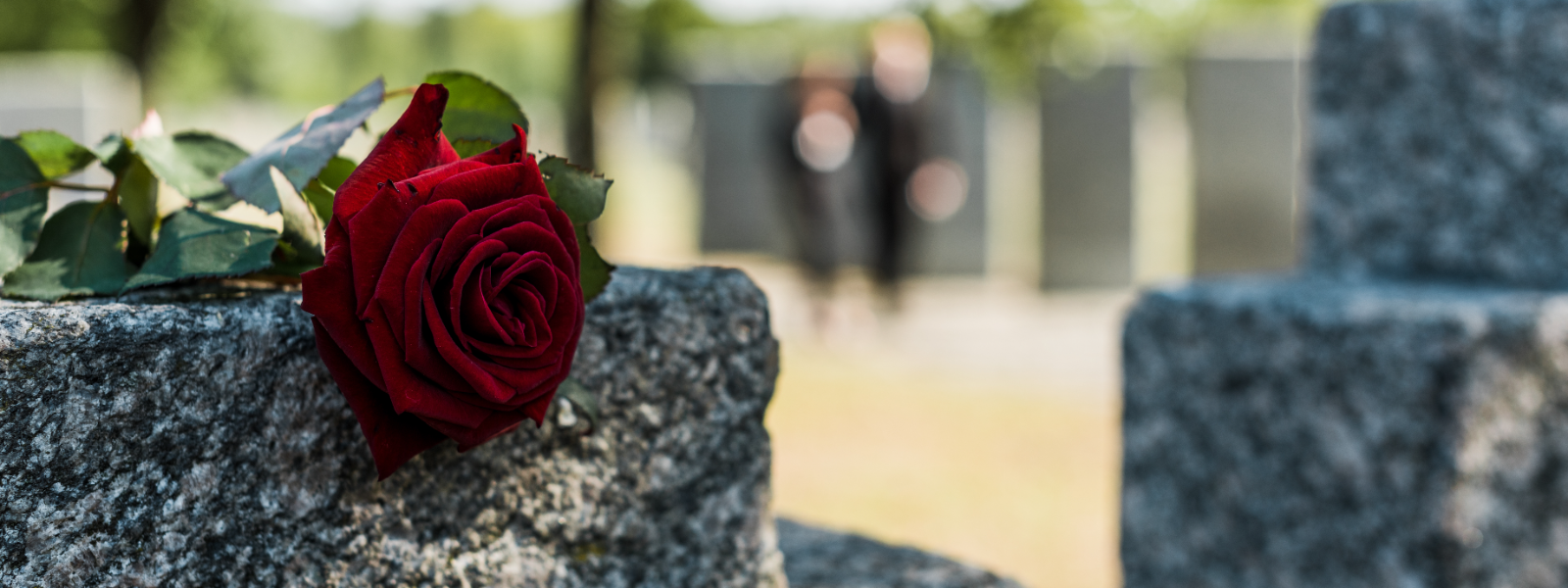 KALMUHOOLDUS OÜ - Kalmuhooldus OÜ on spetsialiseerunud hauaplatside hooldusele, haljastustöödele ja sellega seotud lah...