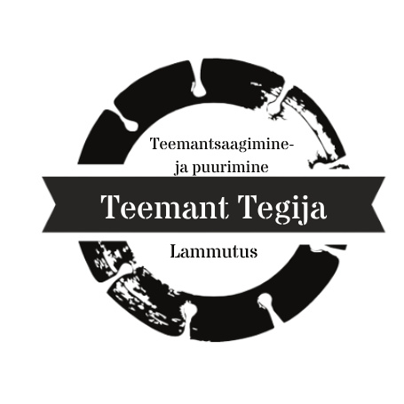 TEEMANT TEGIJA OÜ logo
