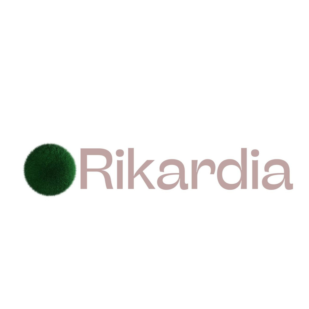 RIKARDIA NETWORK OÜ - Other information technology and computer service activities in Viimsi vald
