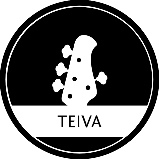 TEIVA OÜ logo