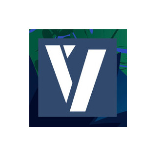 VYNEHALL SOLUTIONS OÜ logo