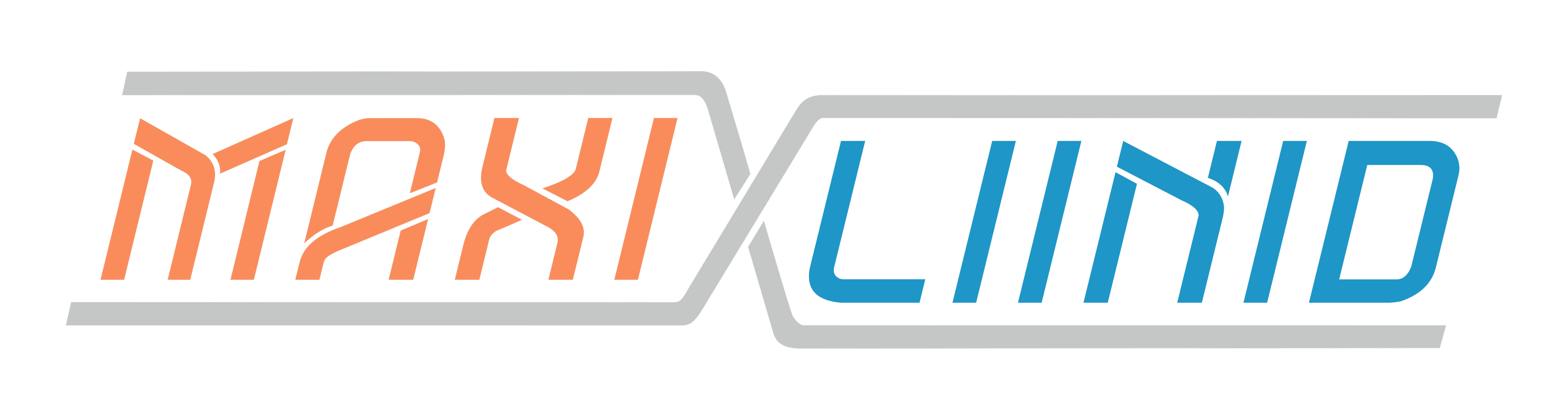 MAXILIINID OÜ logo