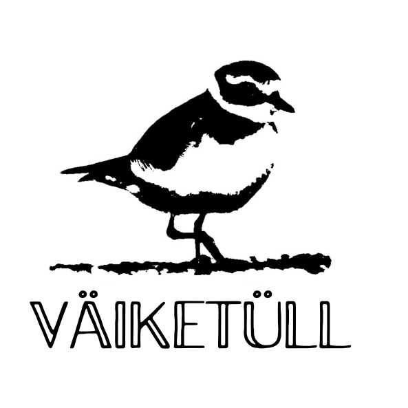 VÄIKETÜLL OÜ logo