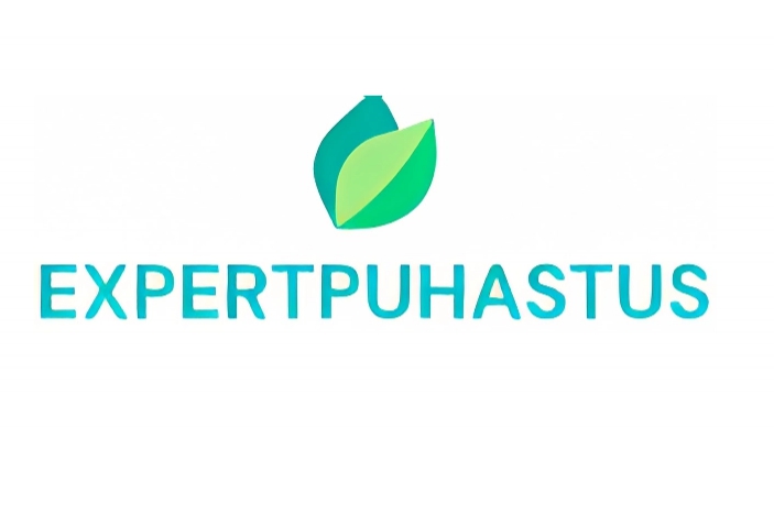 EXPERTPUHASTUS OÜ logo