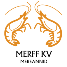 MERFF KV FINANCE OÜ logo
