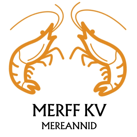 MERFF KV FINANCE OÜ logo