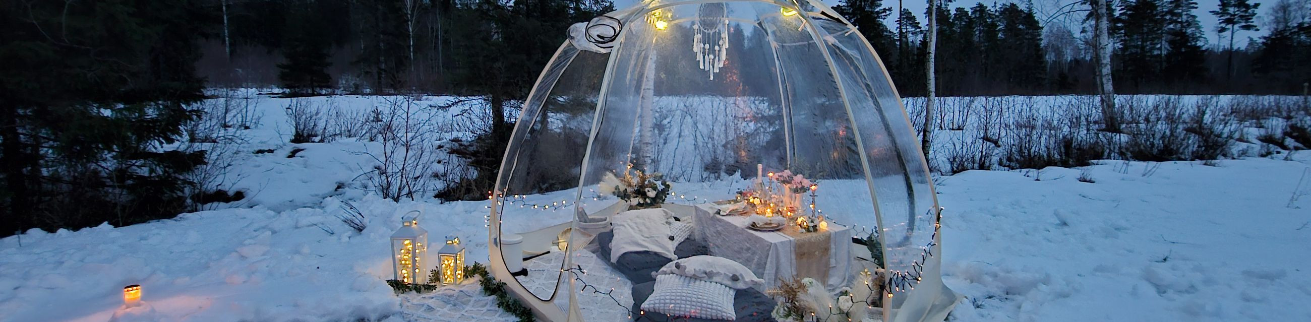 We specialize in curating high-end picnic experiences and providing unique bubble tent accommodations.